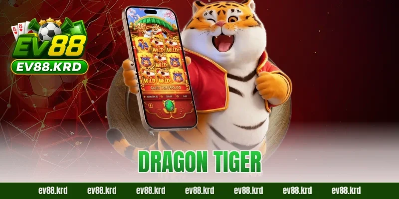 Dragon Tiger – Game bài tốc độ, kịch tính bậc nhất châu Á 14 Dragon Tiger
